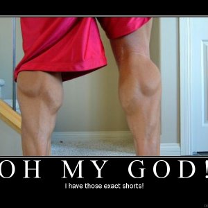 shorts.jpg