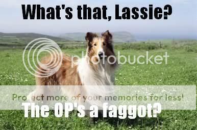 op_is_a_faggot_lassie.jpg