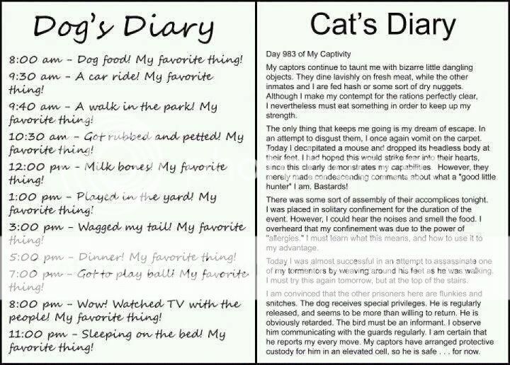 dog-diaryVcat-diary.jpg