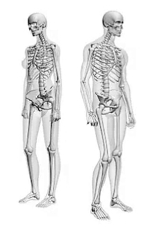 bone-man-bone-woman-pic.jpg
