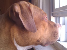 IMG_20111025_110556.jpg