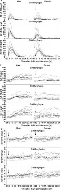HGHpharmacokinetics.jpg