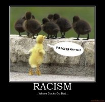 ImageUploadedByTapatalk1335349681.422686.jpg