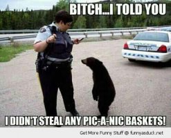 funny-yogi-bear-police-picnic-basket-pics.jpg