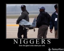 ImageUploadedByTapatalk1335350032.872429.jpg