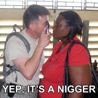 ImageUploadedByTapatalk1335350066.504317.jpg