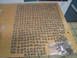 seized%20cannabis.jpg