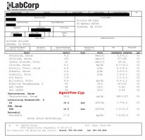 AgentYes-Cyp.jpg