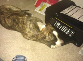 IMG_20130107_200246.jpg