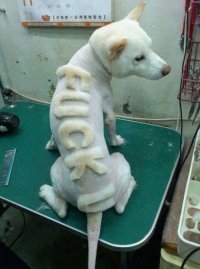 great-funny-photos-13.jpg