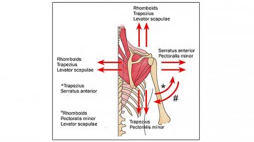 Figure-1.jpg