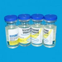 testosterone-undecanoate-500mgml-10mlvial-ep-ugl.jpeg