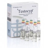 testocyp-250-testosterone-cypionate-alpha-pharma.jpg