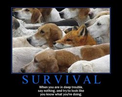Funniest-Motivational-Piture-1.jpg