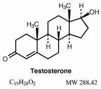 Testosterone_Structure200.jpg