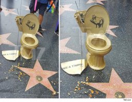 0507-donald-trump-star-vandalized-again-golden-toilet-tmz-6.jpg