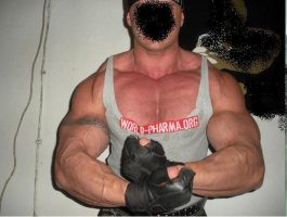 WP pict.jpg