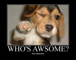 you awsome.jpg