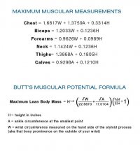 chart2.jpg