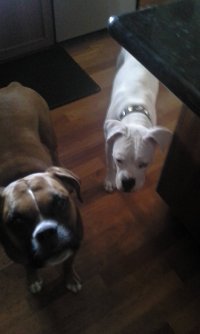 Gia & Regg.jpg