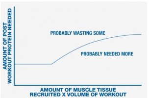protein1.jpg