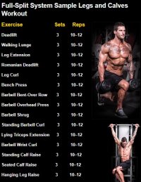 workout.jpg