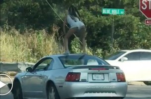 twerk.jpg