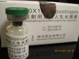 novos 003.JPG