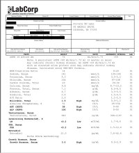 Labs1-25-12.jpg