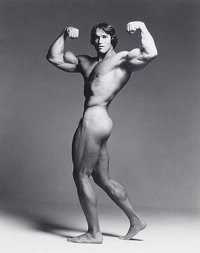 ebe8c97faf0624bdb907307b1d384aff--arnold-schwarzenegger-bodybuilding.jpg