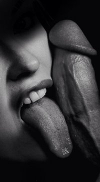 tumblr_n085s7J26T1rd6pezo1_500.jpg