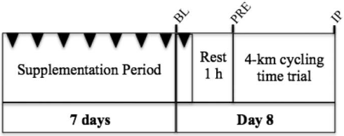 2.gif