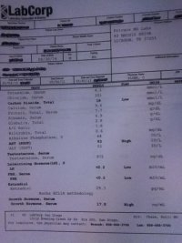 z labs 005.jpg