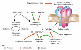 What-is-Gaba-720x446.png