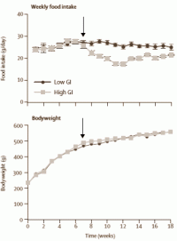 highvslowcarbs3.gif