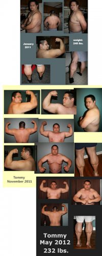 01_Tommy_800.jpg
