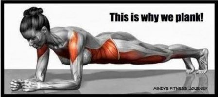 plank.jpg