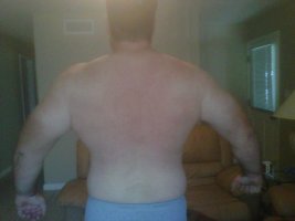 back.jpg