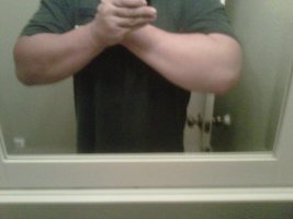 forearms.jpg