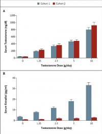 Mean Serum Testosterone and Estradiol Levels.jpg