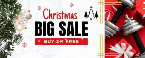 Xmas XRoids.gif Xmas XRoids.gif