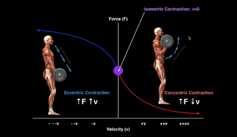 1774829886988.png 1774829886988.png