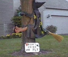 fly-funny.jpg