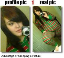 Random-shit-random-29787781-445-406.jpg