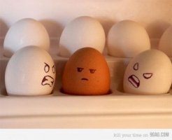 ImageUploadedByTapatalk1335349396.770404.jpg