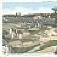 tarnlike