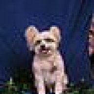petphotos