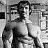 musclegains