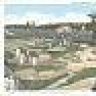 tarnlike
