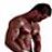 MuscleHacker